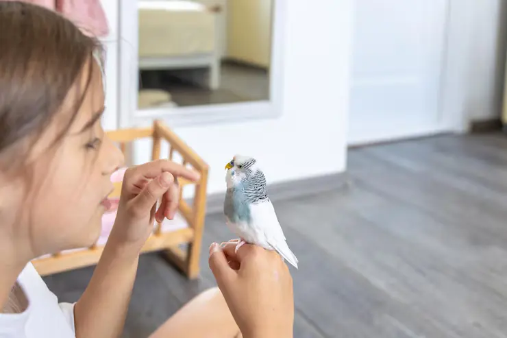 Can You Potty Train a Bird