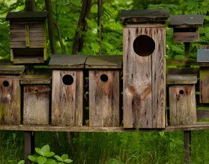 Bird Box