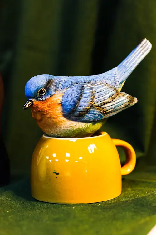 Bird Gifts for Bird Lovers