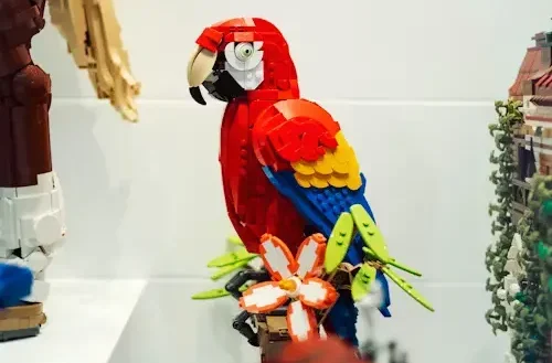 Bird Gifts for Bird Lovers