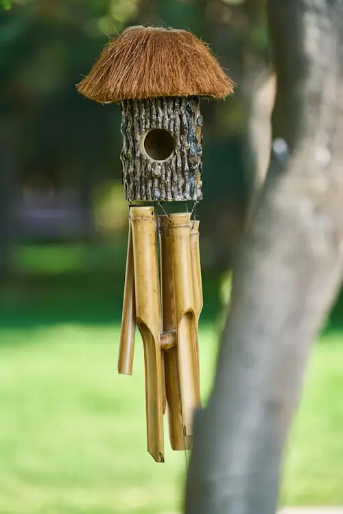 Bird Gifts for Bird Lovers