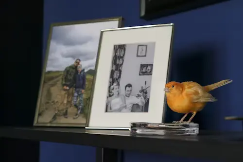 Canary Bird Singing