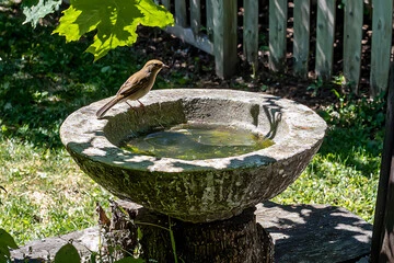 DIY Bird Baths