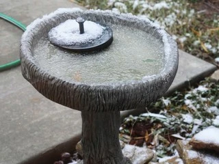 Stone Bird Bath