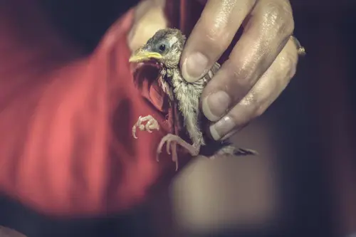 Bird Health Care Center