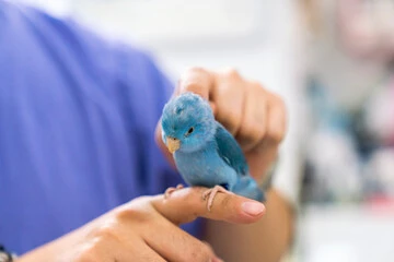 Bird Health Care Center