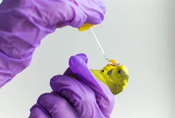 Bird Health Care Center
