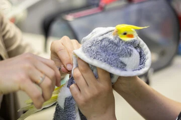 Bird-Health-Care-Hospital