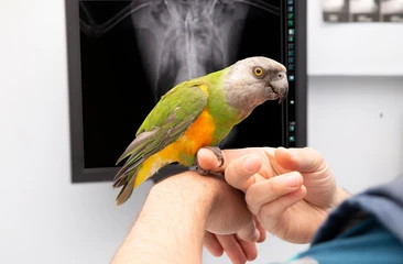 Bird-Health-Care-Hospital