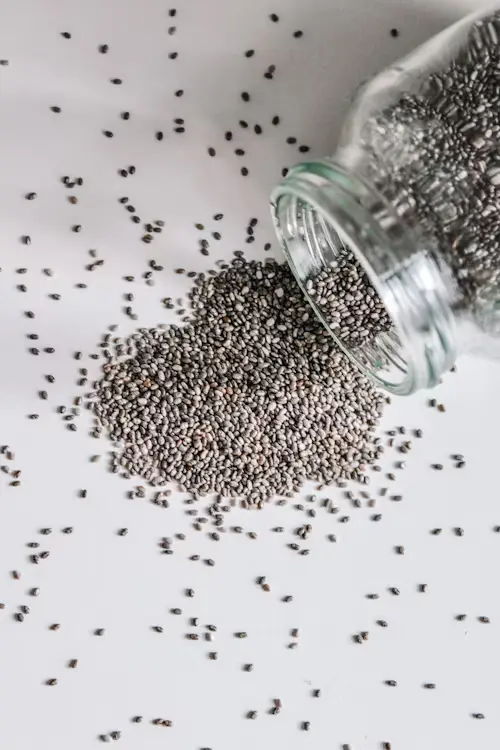 Will Birds Eat Chia Seeds