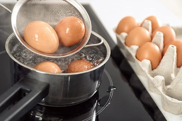 Can Birds Eat Eggs
