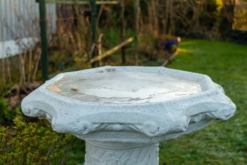 Concrete Bird Bath
