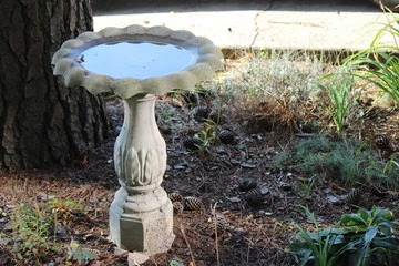 Concrete Bird Bath