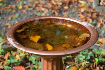Copper Bird Bath