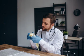 Sick Parakeet Symptoms
