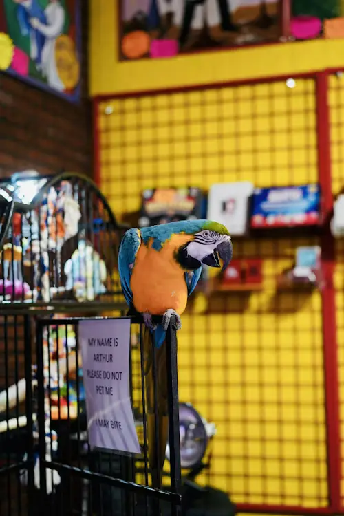 Birds and Beasts Pet Store