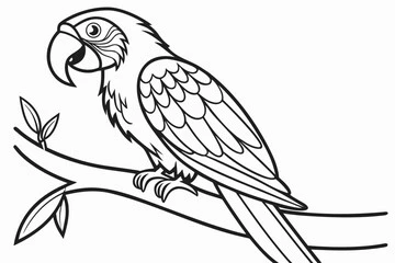 parrot drawing