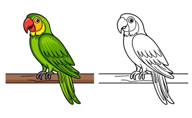 Parrot Drawing: How to Create Inspiring Vibrant Art