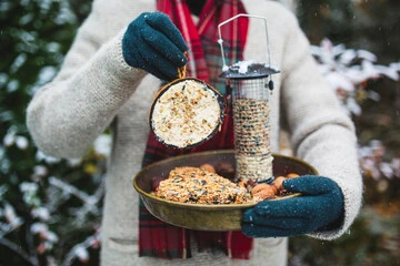 Best Bird Food for Winter