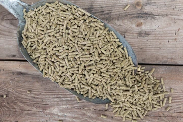 Bird Pellets vs Seed