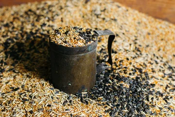 Budgie Pellets vs Seed