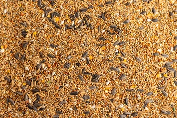 Cockatiel Pellets vs Seeds