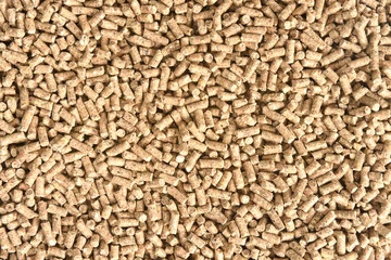 Cockatiel Pellets vs Seeds