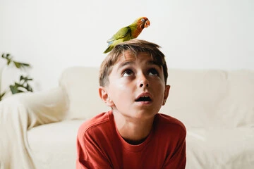 Do Birds Love Their Owners? Inspiring Bond Truths