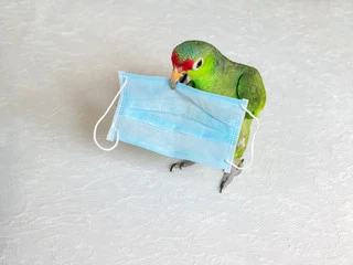 Aloha Pet and Bird Hospital