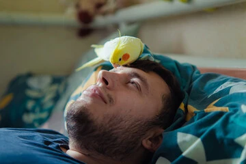 Names for Birds Pet: Best and Ultimate Choices