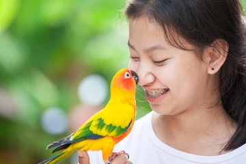 Names for Birds Pet