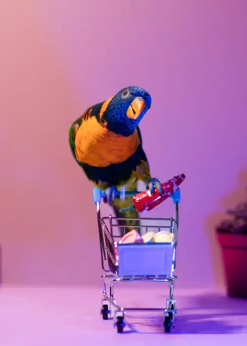 Bird Products To Avoid