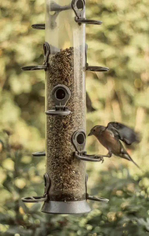tube bird feeders