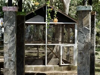 Outdoor Bird Aviary