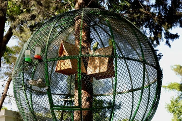 Indoor Bird Aviary